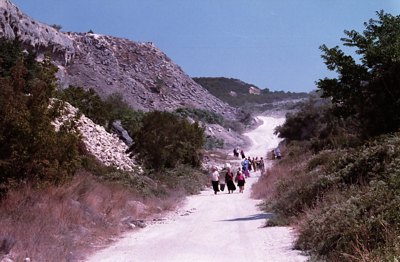 pandemia  .  pandemija